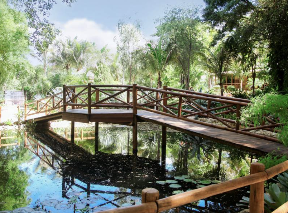 Foto Lugares incríveis em Minas Gerais para um ensaio fotográfico de pré-wedding Foto Lugares incríveis em Minas Gerais para um ensaio fotográfico de pré-wedding - Imagem 123